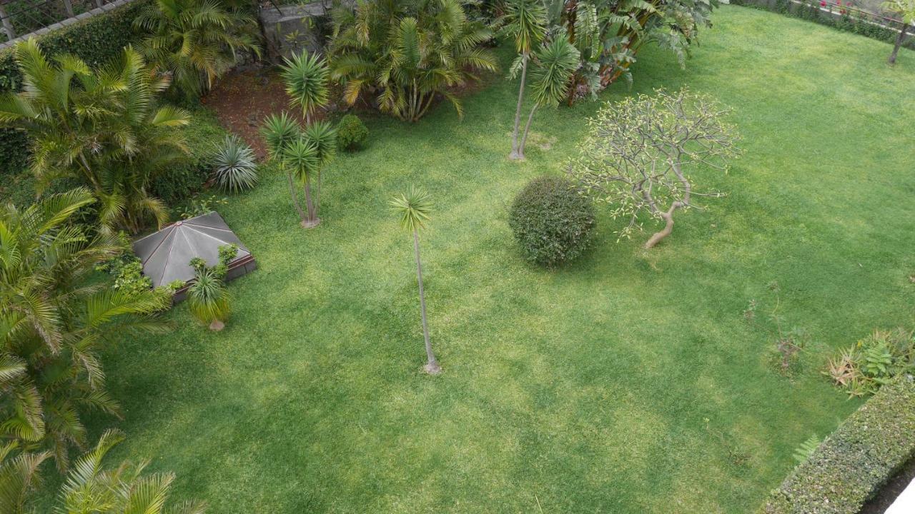 Jasmineiro - Palms Palace Apartment Funchal  Eksteriør billede